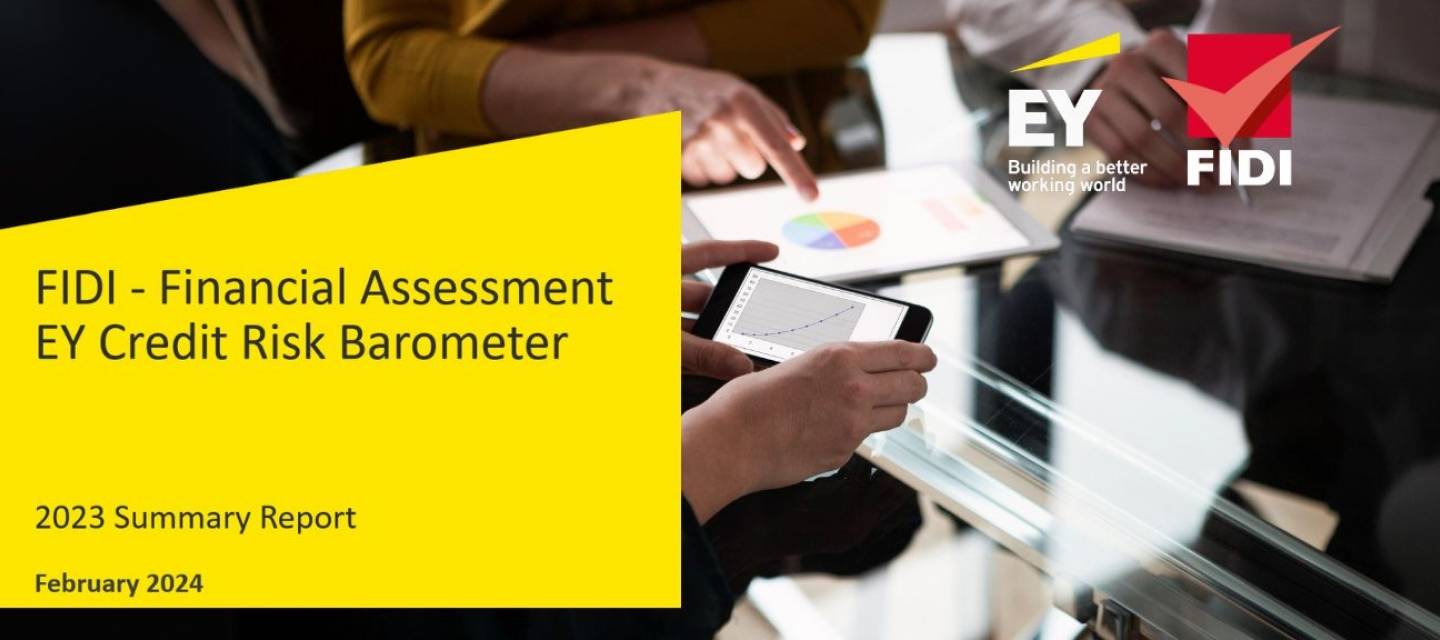 2023 FAIM Financial Assessment report by EY