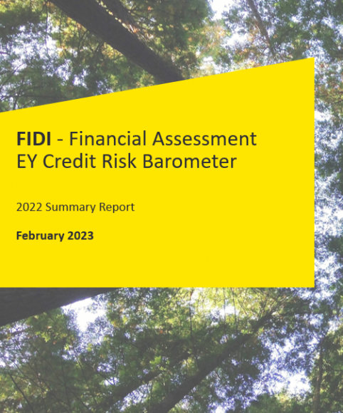 2022 FAIM Financial Assessment Report by EY