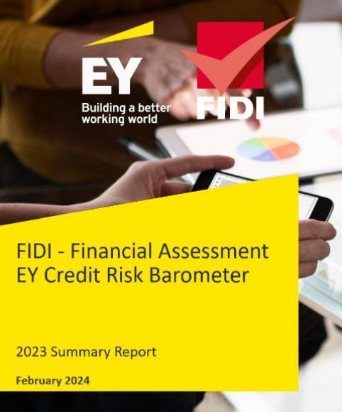 2023 FAIM Financial Assessment Report by EY